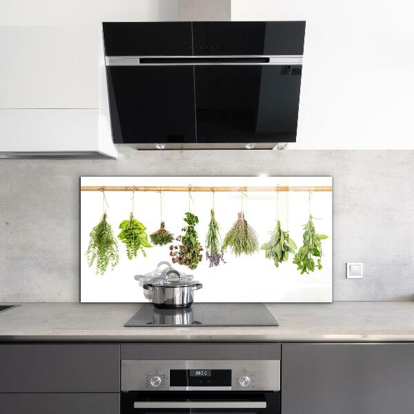 Kitchen wall panels Dried herbs healthy diet