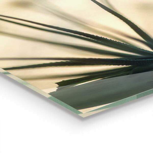 Kitchen glass panel Beautiful delicate dandelion