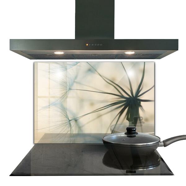 Kitchen glass panel Beautiful delicate dandelion