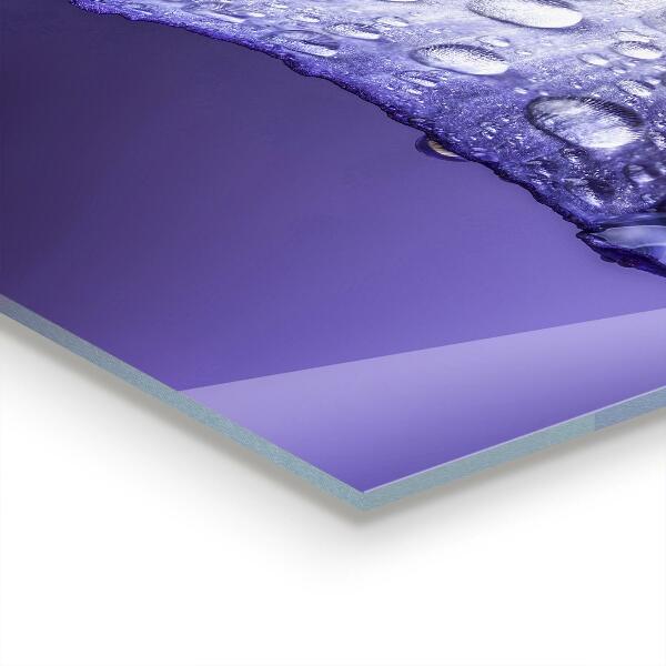 Kitchen glass panel Purple flower petal