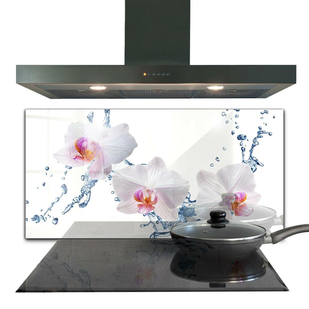 Kitchen glass panel Orchid sprinkled with water