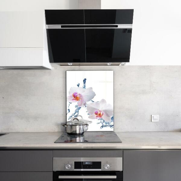 Kitchen glass panel Orchid sprinkled with water