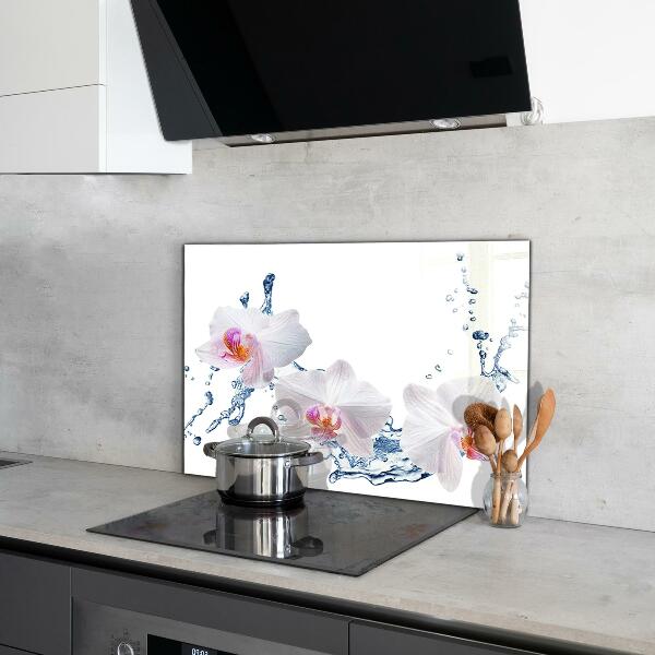 Kitchen glass panel Orchid sprinkled with water