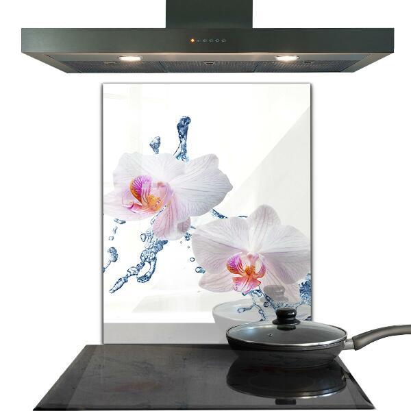 Kitchen glass panel Orchid sprinkled with water