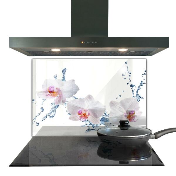 Kitchen glass panel Orchid sprinkled with water