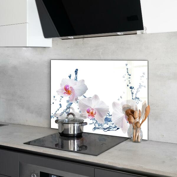 Kitchen glass panel Orchid sprinkled with water