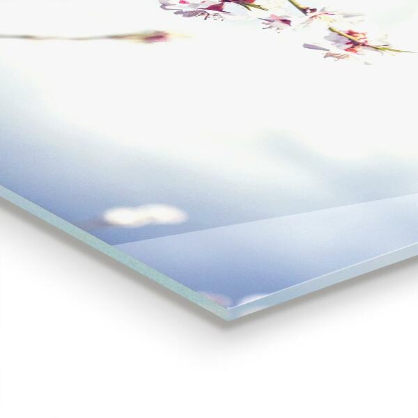 Kitchen glass panel Delicate pink flowers