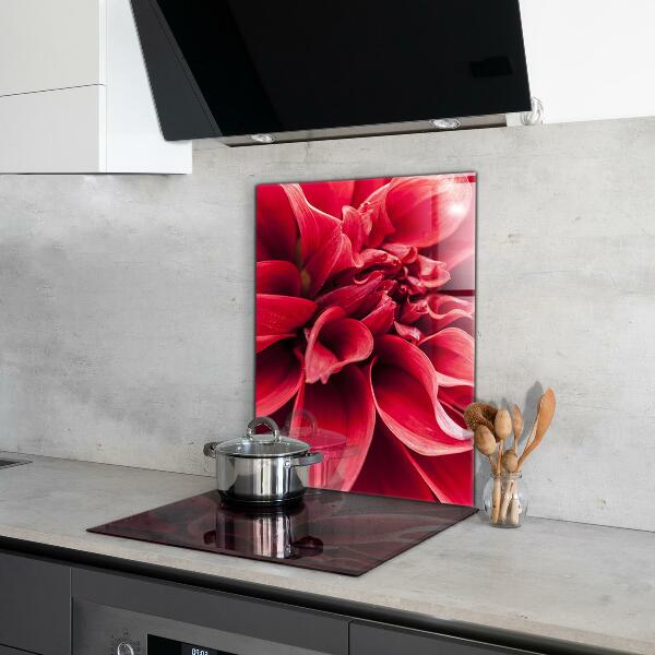 Kitchen glass panel Energetic flower power of nature