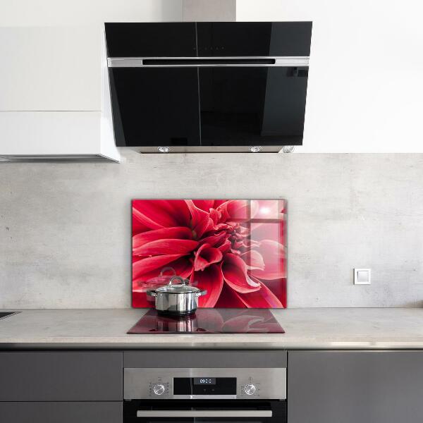 Kitchen glass panel Energetic flower power of nature