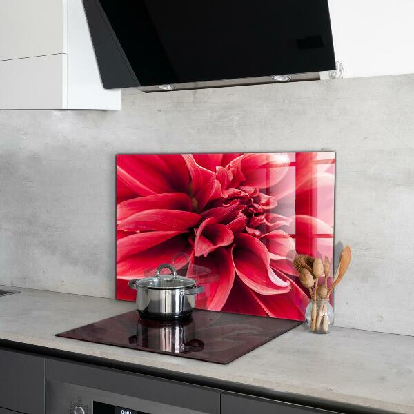 Kitchen glass panel Energetic flower power of nature