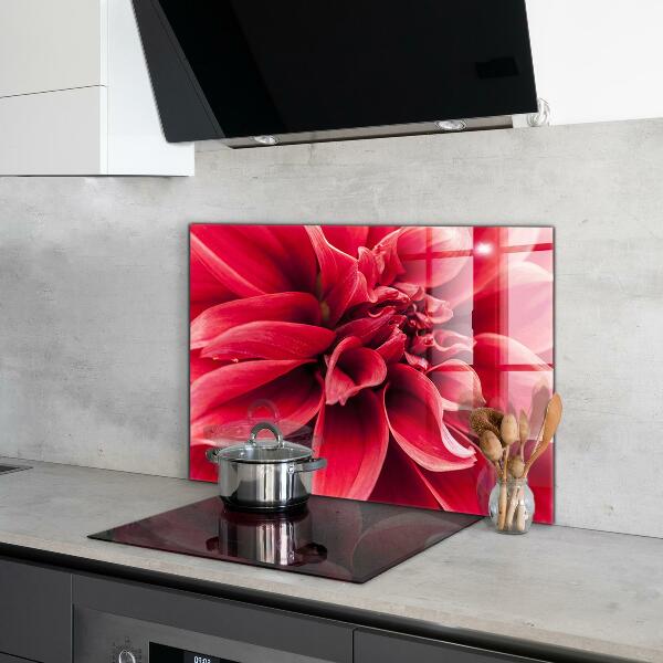 Kitchen glass panel Energetic flower power of nature