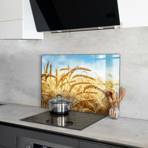 Kitchen glass panel Grain gifts of mother nature
