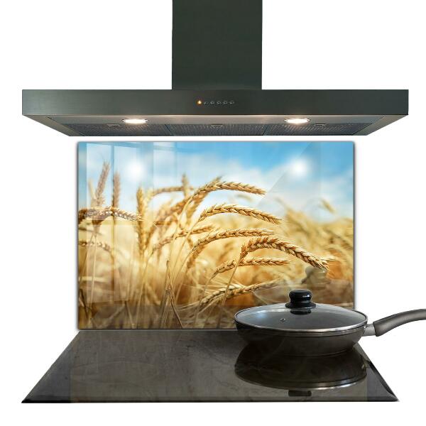 Kitchen glass panel Grain gifts of mother nature