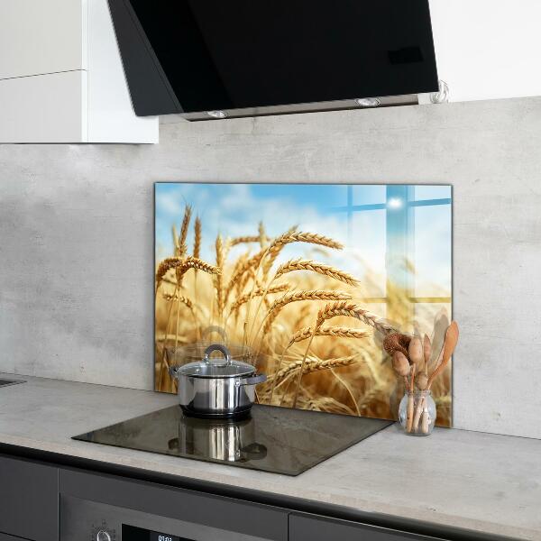 Kitchen glass panel Grain gifts of mother nature