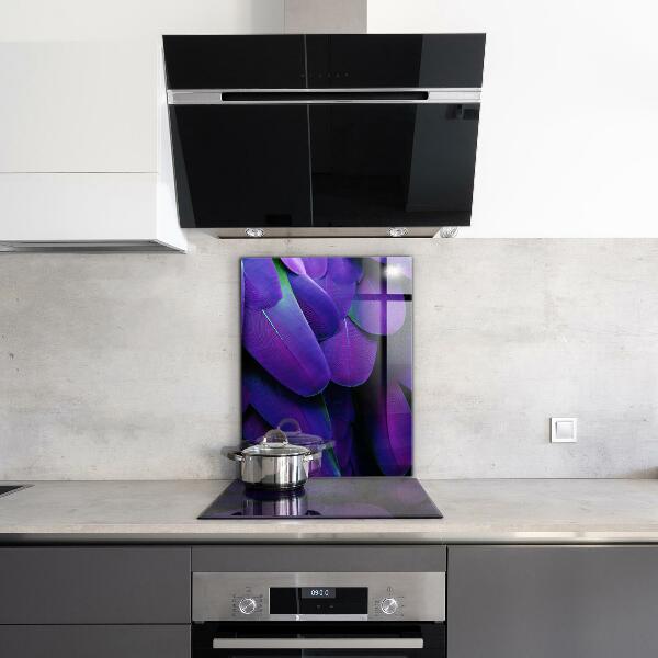 Oven splashback Exotic bird feathers