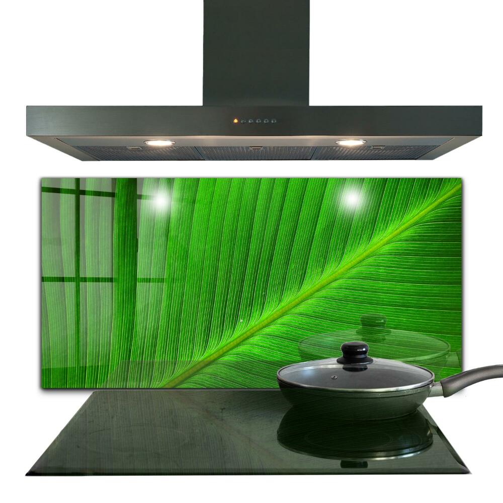 Kitchen glass panel Tropical palm leaf