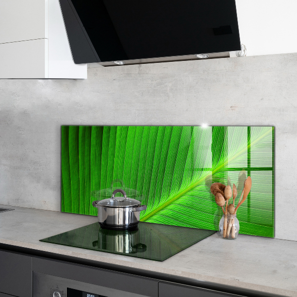 Kitchen glass panel Tropical palm leaf