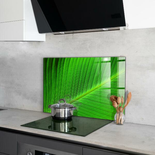 Kitchen glass panel Tropical palm leaf