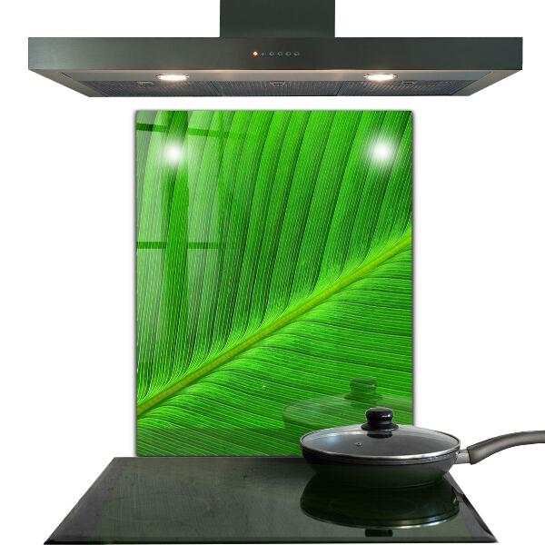 Kitchen glass panel Tropical palm leaf