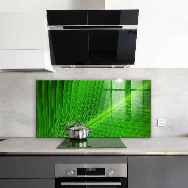 Kitchen glass panel Tropical palm leaf