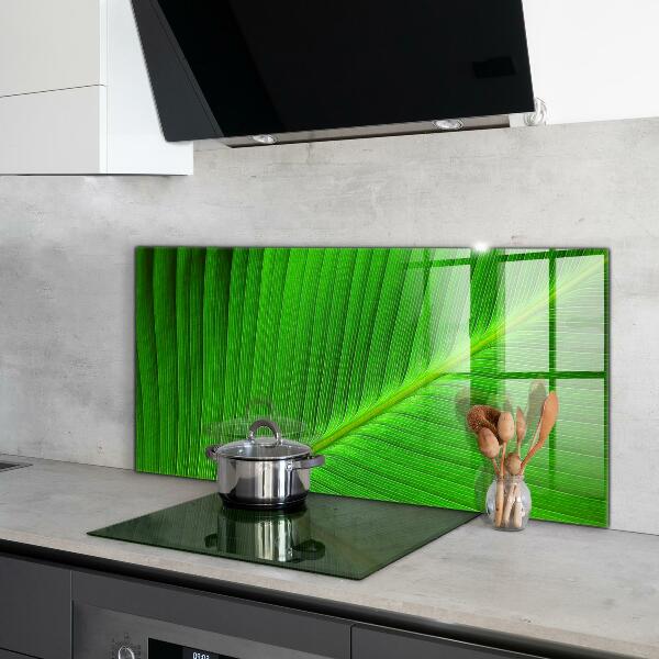 Kitchen glass panel Tropical palm leaf