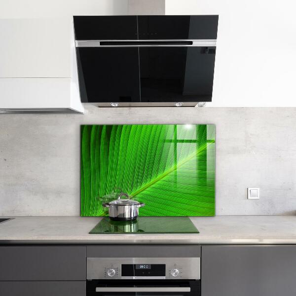 Kitchen glass panel Tropical palm leaf
