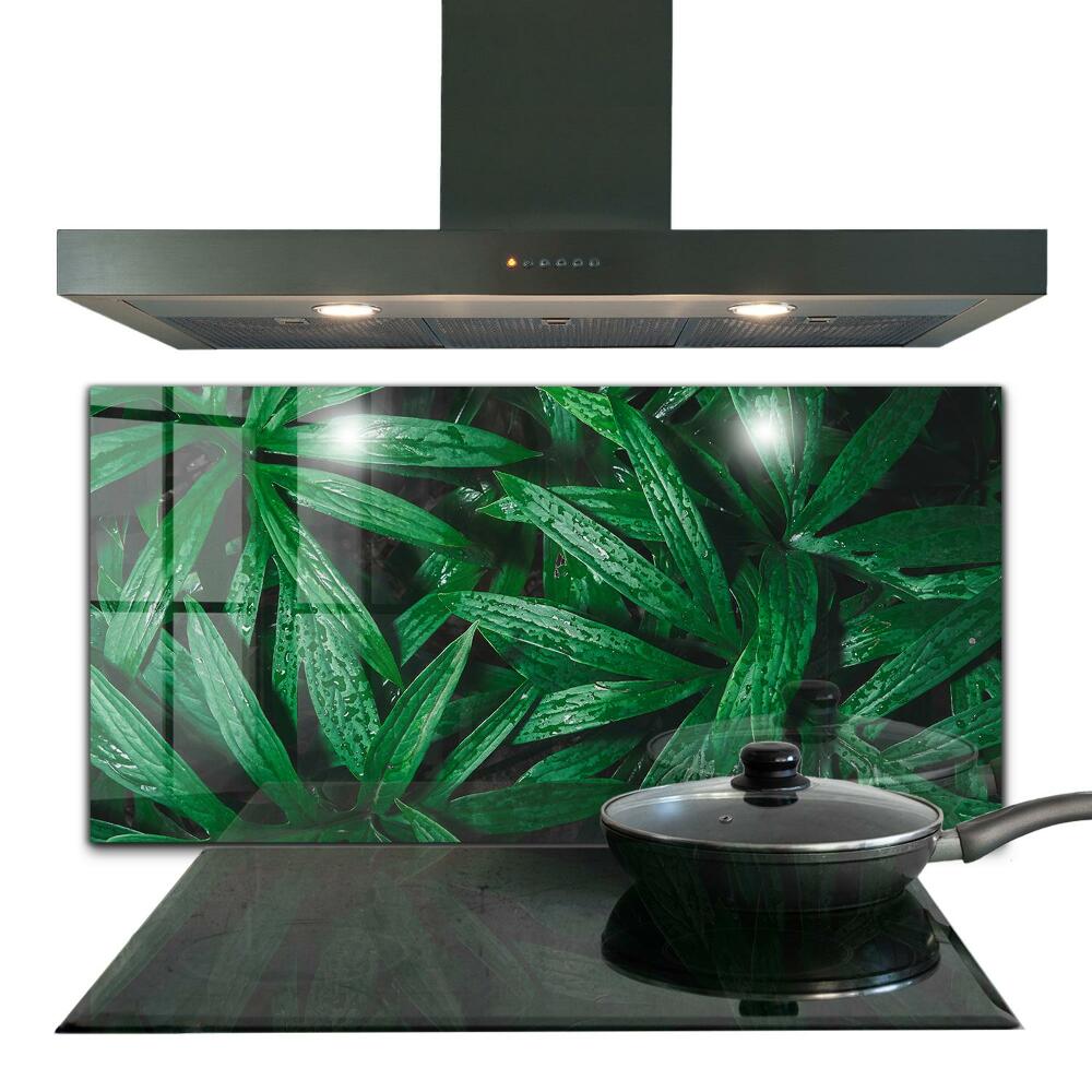 Kitchen glass panel Exotic jungle leaves