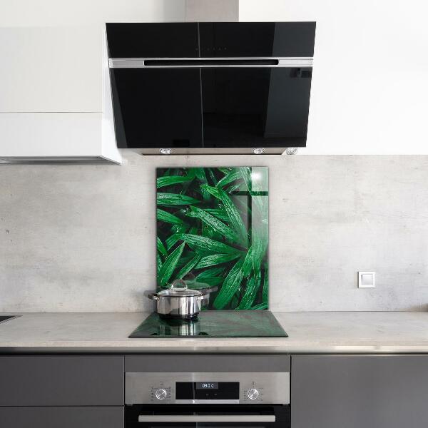 Kitchen glass panel Exotic jungle leaves