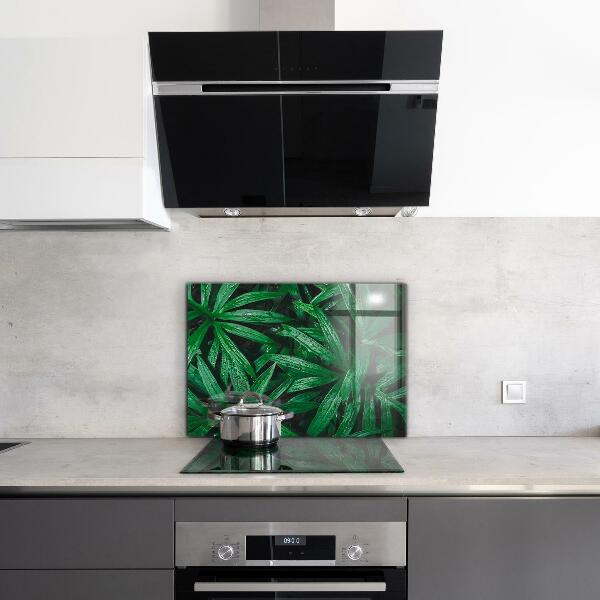 Kitchen glass panel Exotic jungle leaves