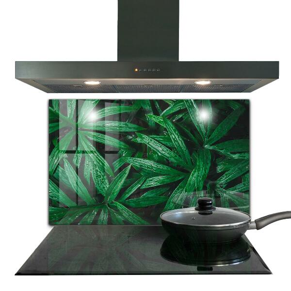 Kitchen glass panel Exotic jungle leaves