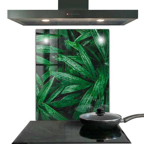 Kitchen glass panel Exotic jungle leaves