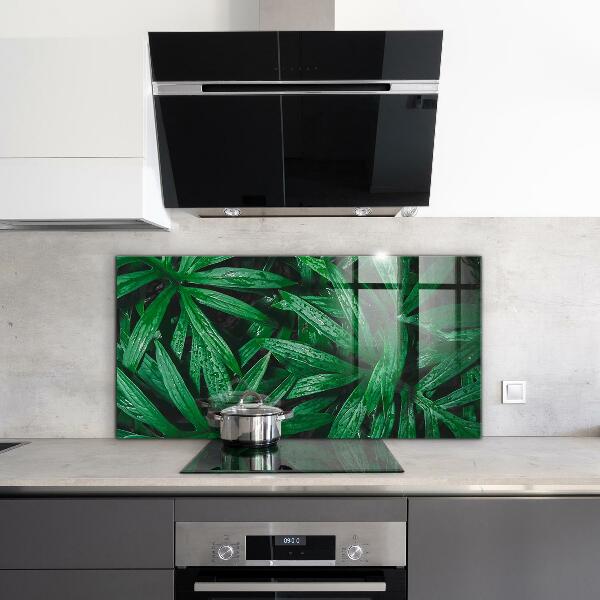 Kitchen glass panel Exotic jungle leaves