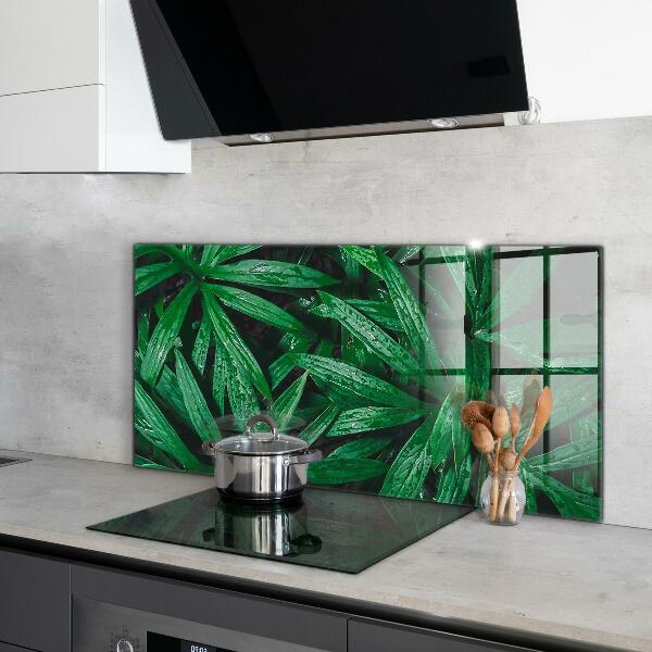 Kitchen glass panel Exotic jungle leaves