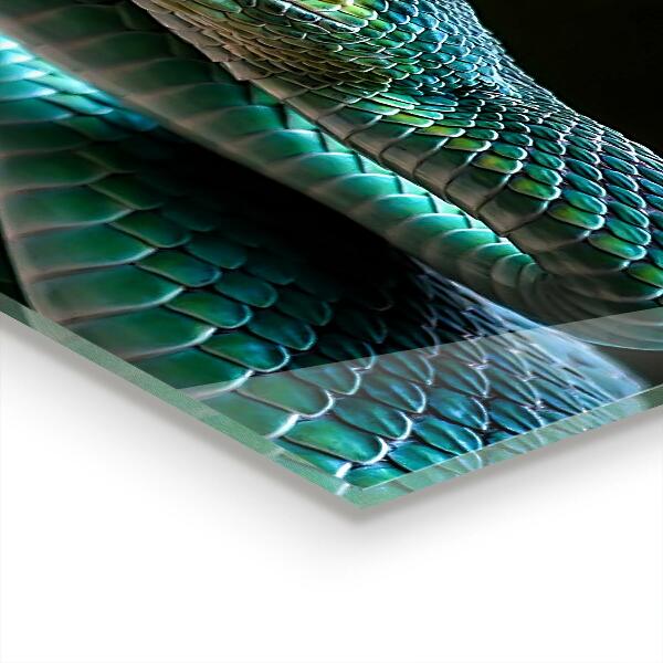 Kitchen wall panels Snake wildlife