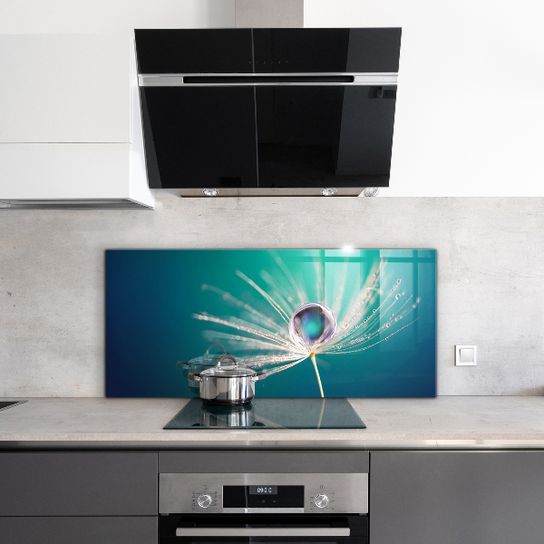 Kitchen glass panel Dandelion with a dew drop