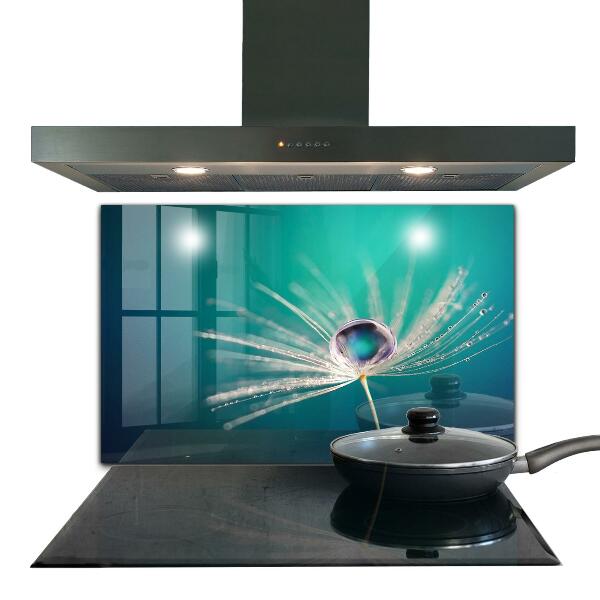 Kitchen glass panel Dandelion with a dew drop