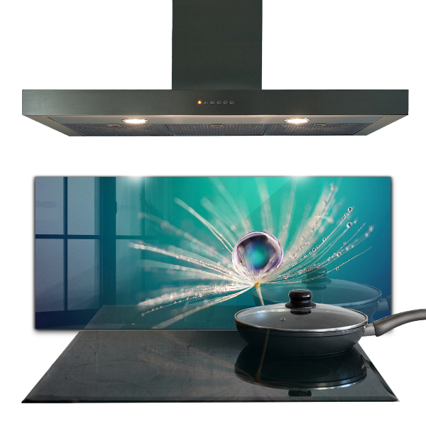 Kitchen glass panel Dandelion with a dew drop