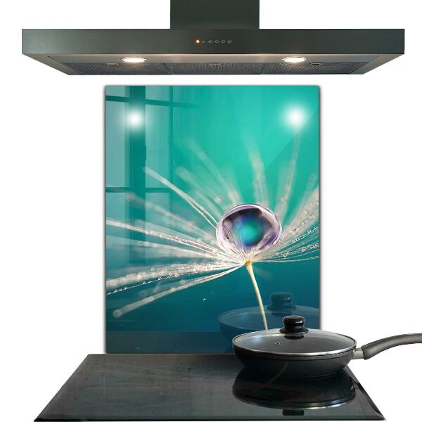 Kitchen glass panel Dandelion with a dew drop