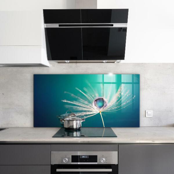 Kitchen glass panel Dandelion with a dew drop