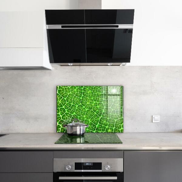 Kitchen glass panel The power of green botany