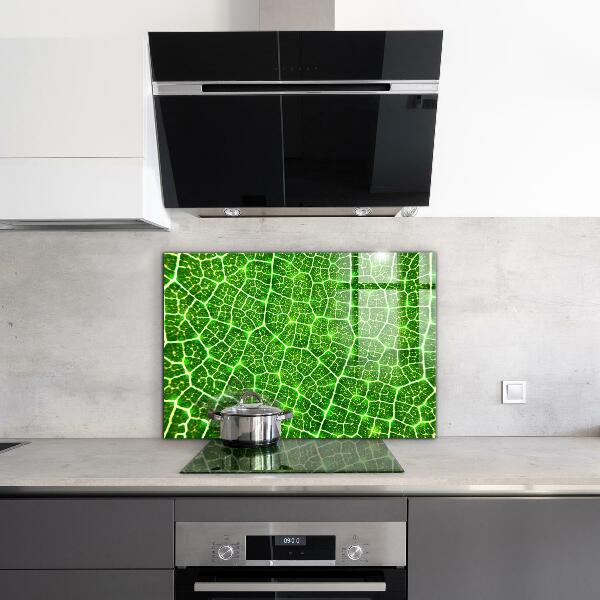 Kitchen glass panel The power of green botany
