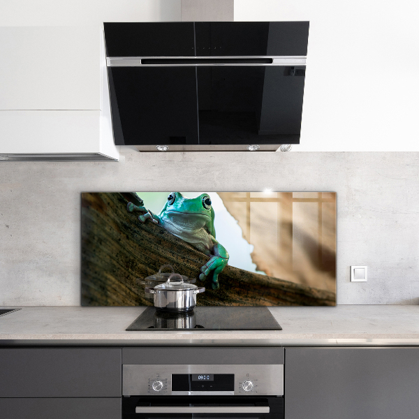 Kitchen wall panels African frog portrait