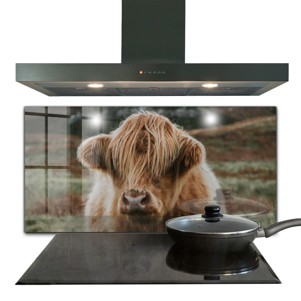 Kitchen wall panels Highland cottage style cow