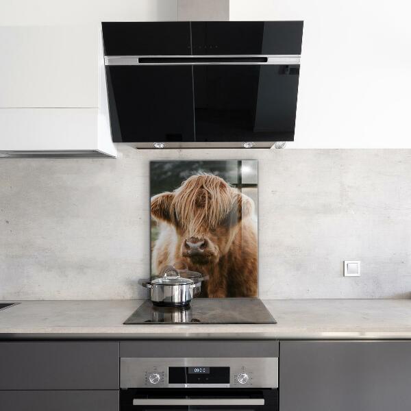 Kitchen wall panels Highland cottage style cow