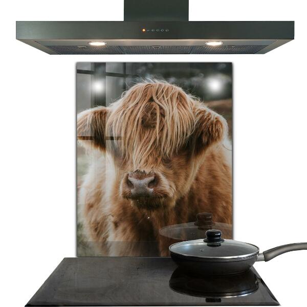 Kitchen wall panels Highland cottage style cow