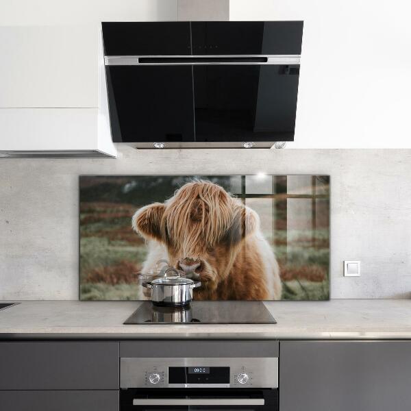 Kitchen wall panels Highland cottage style cow