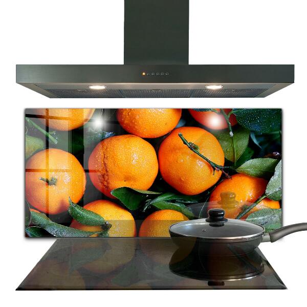 Kitchen wall panels Juicy sicilian oranges