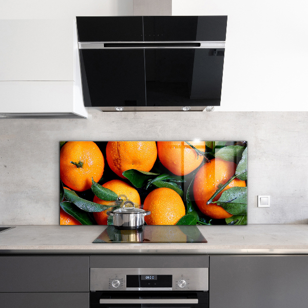 Kitchen wall panels Juicy sicilian oranges