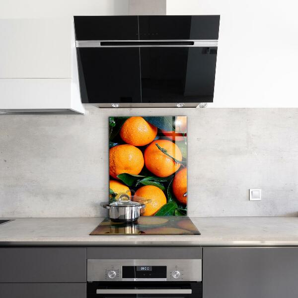 Kitchen wall panels Juicy sicilian oranges