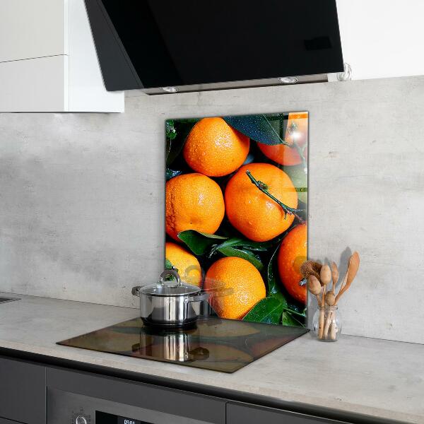 Kitchen wall panels Juicy sicilian oranges
